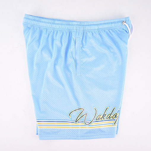 Personalized-Screen-Printing-Mesh-Lifestyle-Shorts34