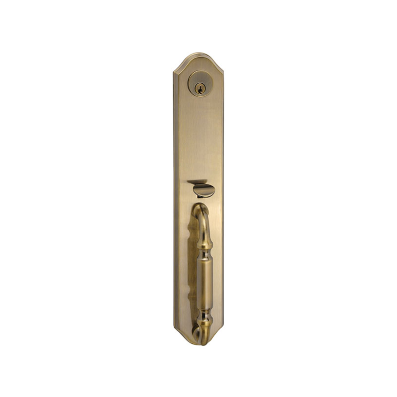 HUIBAO Entrance Handle 8731 AB